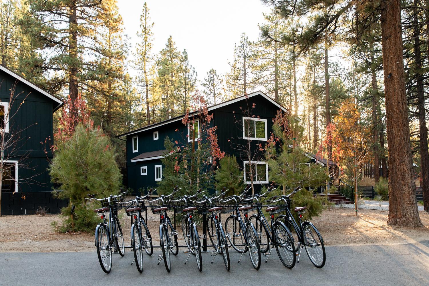 Np Boutique Lodge Big Bear Lake Esterno foto